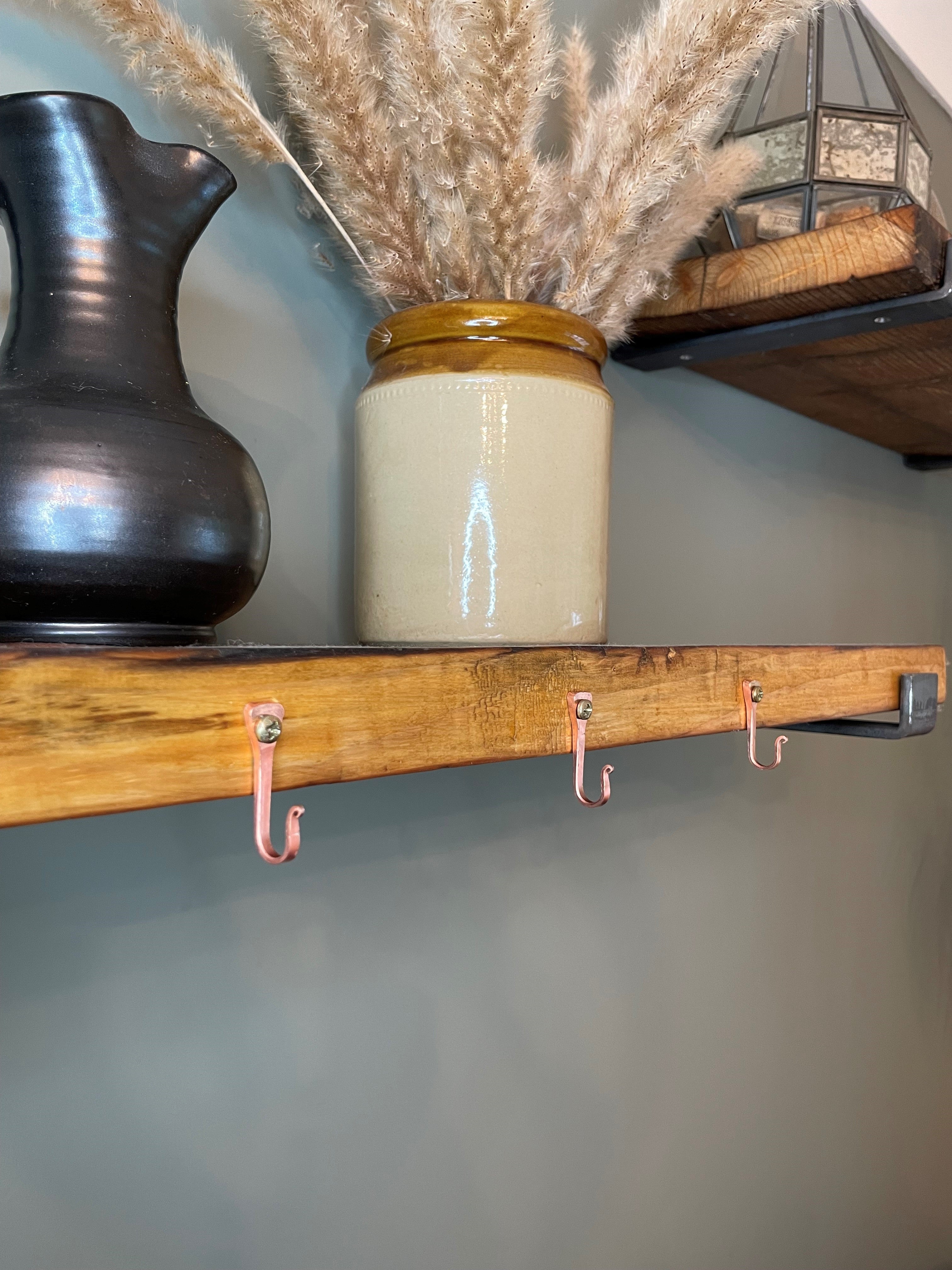 Small Copper Horseshoe Nail Hook