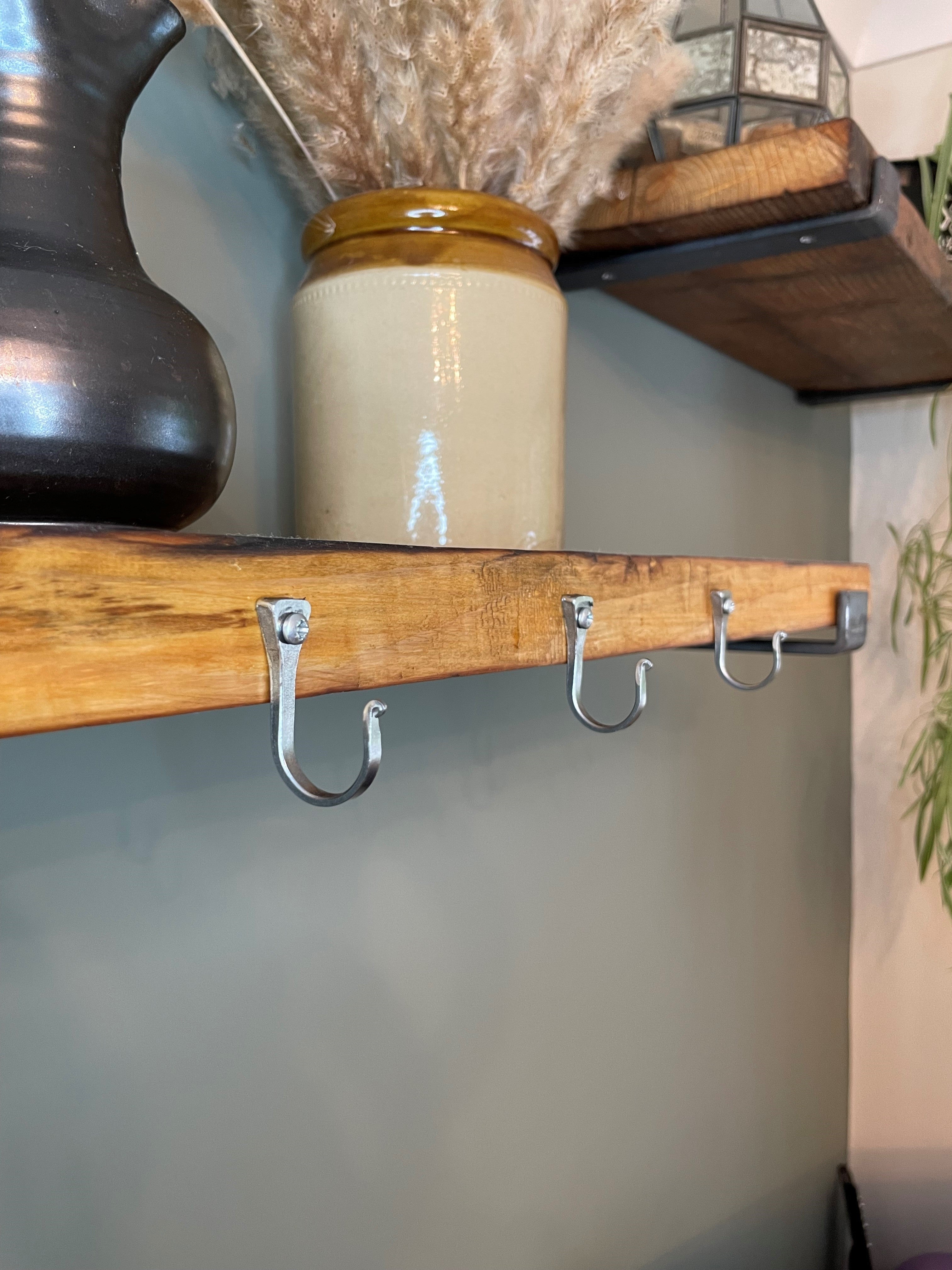Large Silver Horseshoe Nail Hook