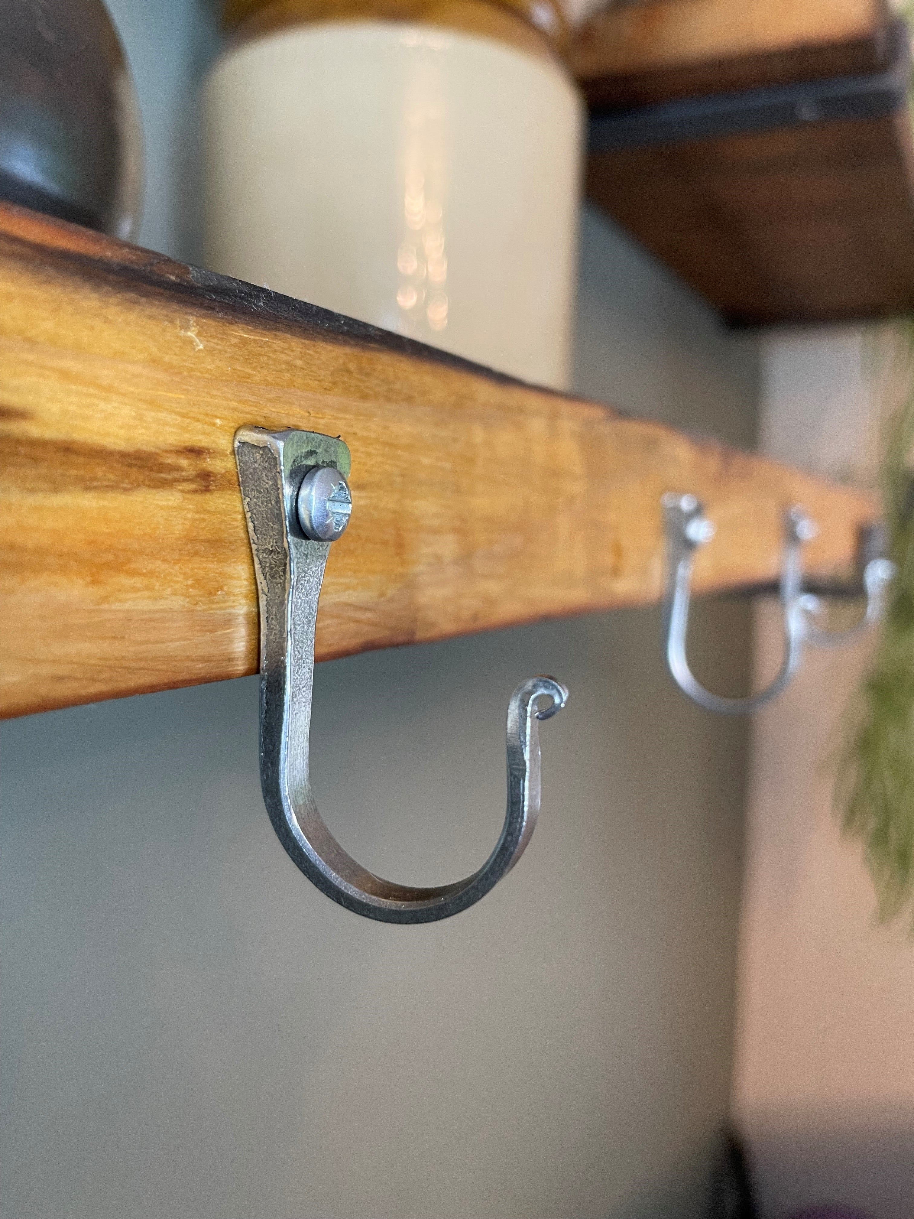 Large Silver Horseshoe Nail Hook