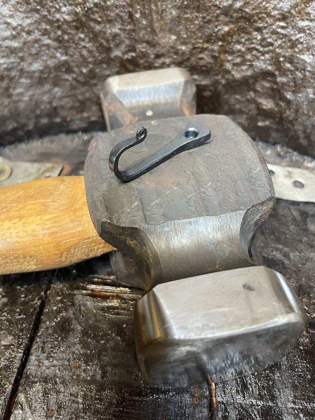 Small Black Horseshoe Nail Hook